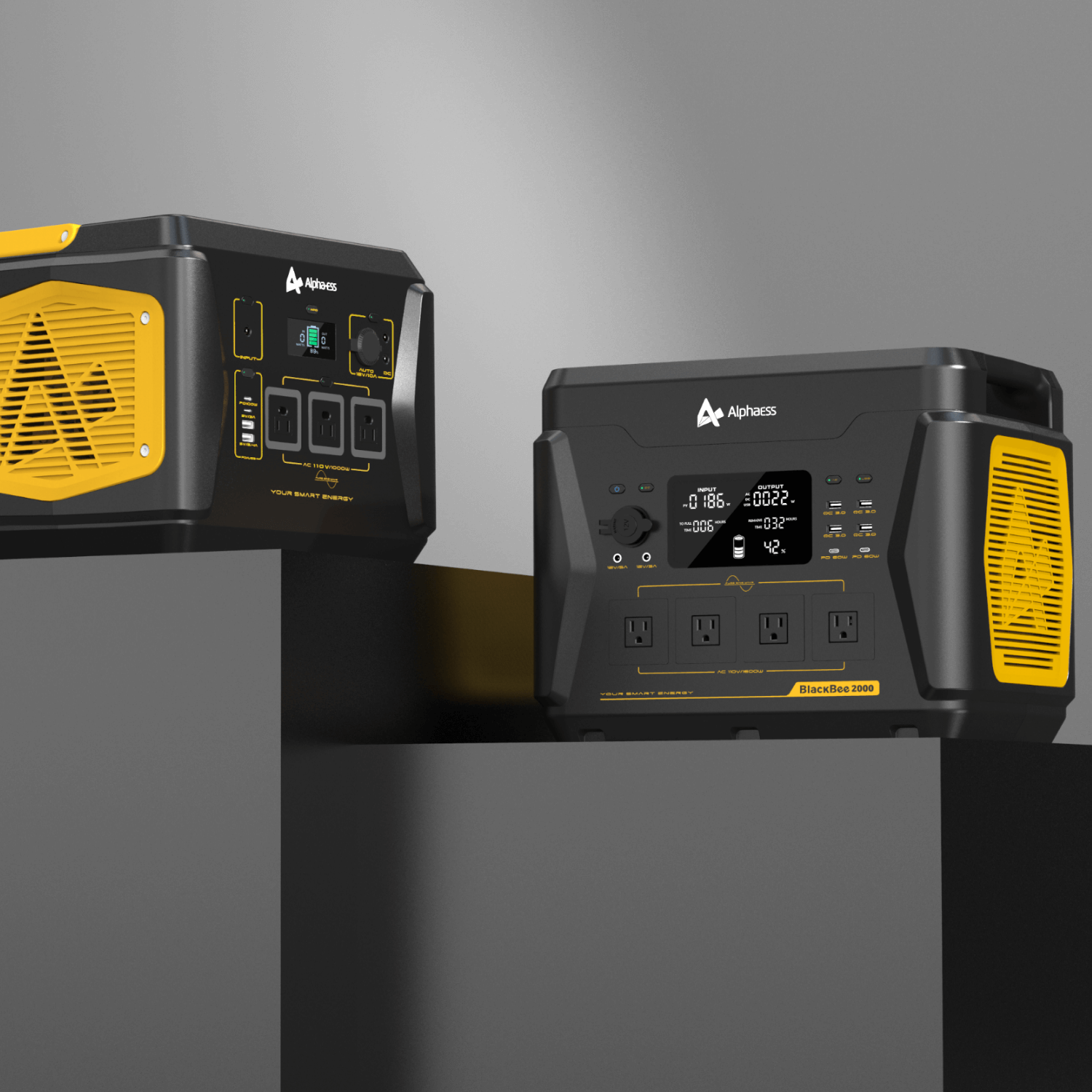 Alpha BlackBee 2000